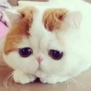 うっちー