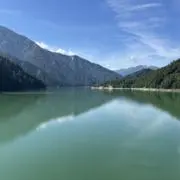 カーターの画像