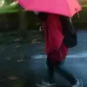 Ann