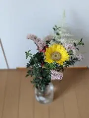 himawariの画像