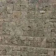 harukaの画像