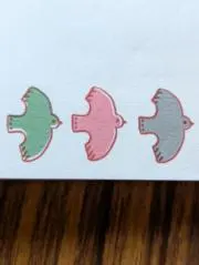 ことりの画像