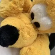 ちかの画像