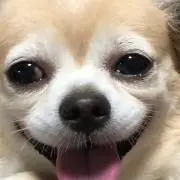 せいそういん082