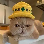 ちゃらき