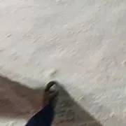 あの画像