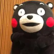 sakanaの画像