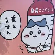 はちわれ 次回土曜日発送の画像