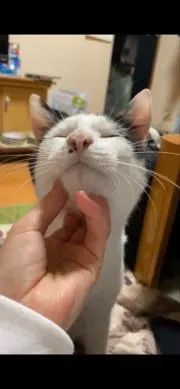 みーさん
