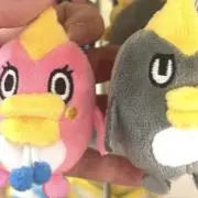 ぷるるん꒰●꒡ ̫ ꒡●꒱只今セール中の画像