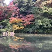 ベネット
