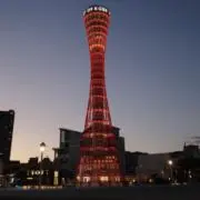 TK.mmaの画像