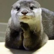 おむすびの画像