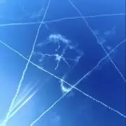 しめじの画像