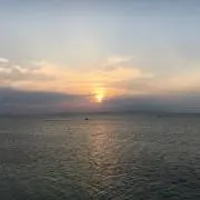 ペルの画像