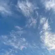 リーの画像
