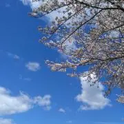 むーの画像