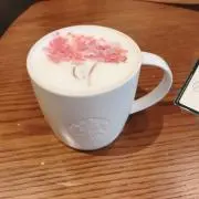 さなの画像