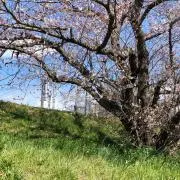 suk 【月末にセール実施‼︎】の画像