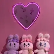WRの画像
