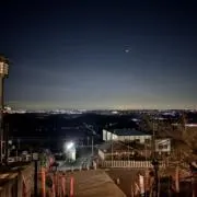 ドンキのさむらいの画像