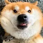 Image of ｔｏｒｉ@pota