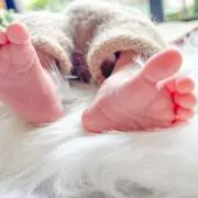 ねこさまの画像