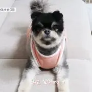haeungの画像
