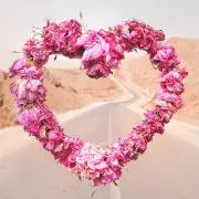 ♡Lovely♡♡の画像
