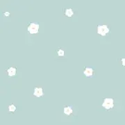 PMJ⭐︎プロフ必読の画像