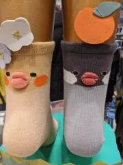 ありの画像