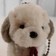 たまみの画像
