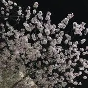 みー