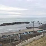 子パンダと飼育員