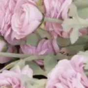 ちよの画像
