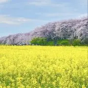 スポーツとカフェ好きの画像
