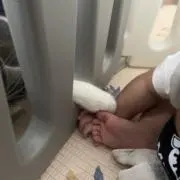 Kの画像