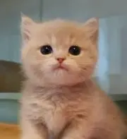 yun❤プロフ必読❤即購入OKの画像