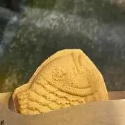 泳矢の画像
