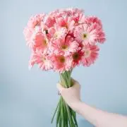 ✿ MARI‪ ✿ 即購入大歓迎◎の画像