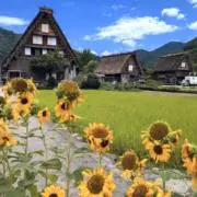 YUURIの画像