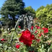 ssm08041114の画像