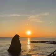 ぽんつの画像