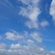 ルアナの画像