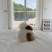 mの画像