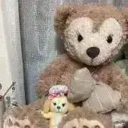 りーのの画像