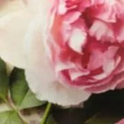 アーウー☆プロフィールご確認下さい