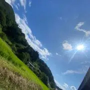 まーちゃんの画像