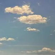 ぴの画像
