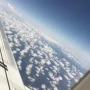 ゆうの画像